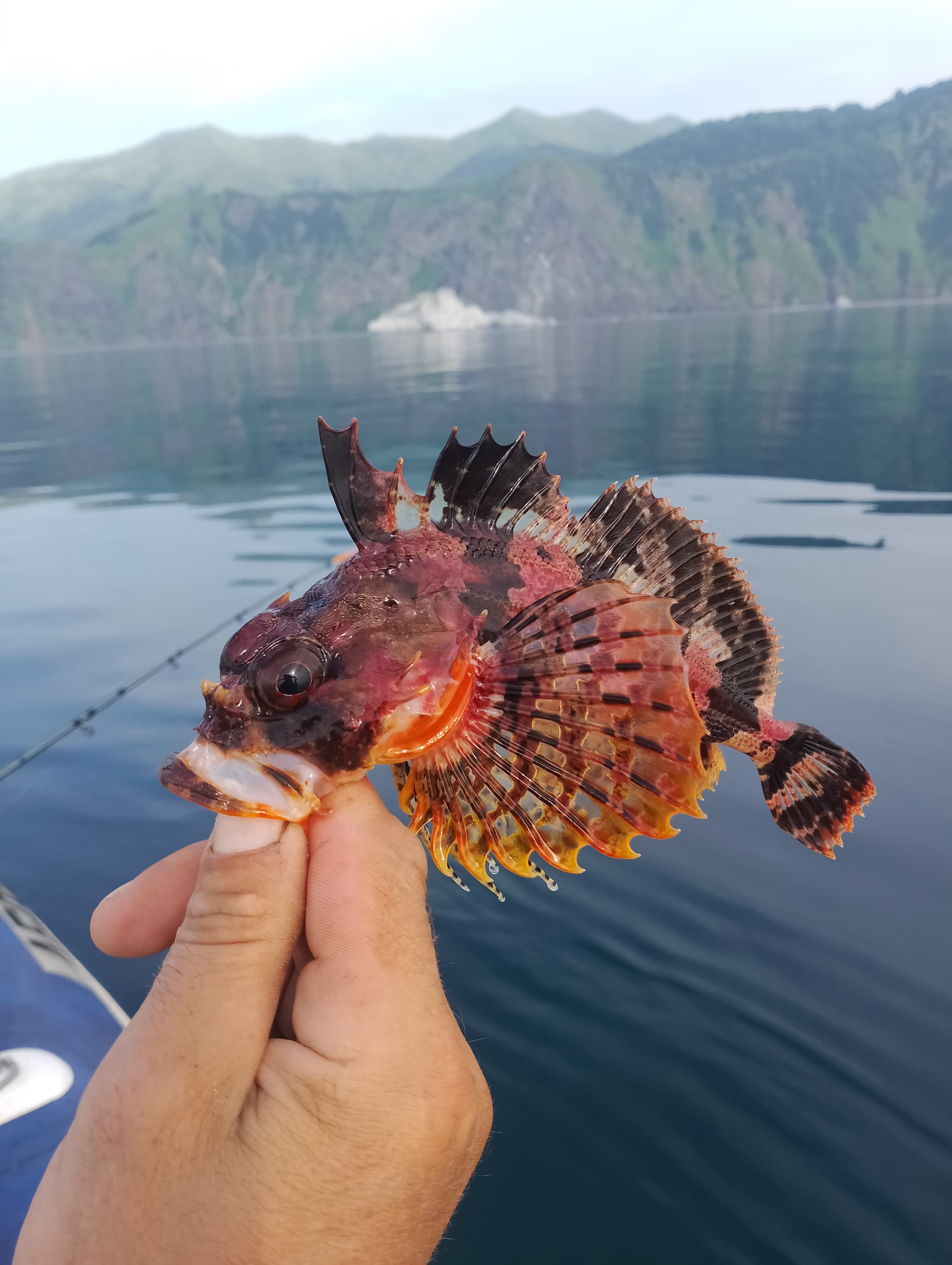 Морская рыбалка